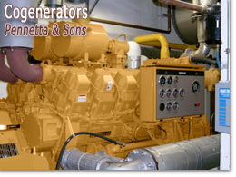 Pennetta and Sons - Cogeneration